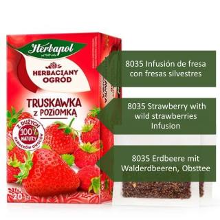 8035 Infusión de fresa con fresas silvestres 8035 Strawberry with wild strawberries Infusion . 8035 Erdbeere mit Walderdbeeren, Obsttee. Herbary Garden